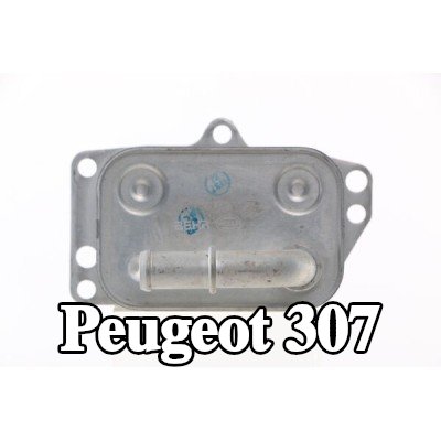 MAHLE مبرد زيت المحرك بدون حشية/مانع تسرب — 2004 Peugeot 307