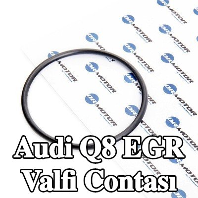 DR.MOTOR AUTOMOTIVE EGR valfi contası — Audi Q8