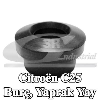 3RG Burç, yaprak yay Arka Aks her iki taraf — Citroën C25