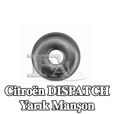 VEGAZ Yarık manşon — Citroën Dispatch