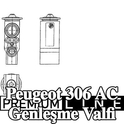 MAHLE AC genleşme valfi — 2000 Peugeot 306