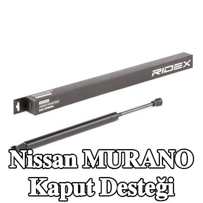 RIDEX Kaput desteği — 2003 Nissan Murano