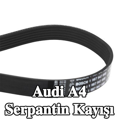 BOSCH Serpantin kayışı 2460mm, Number of ribs: 6 — Audi A4