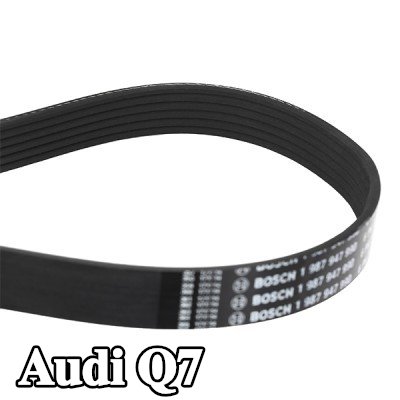 BOSCH حزام سيربنتين 2460mm, Number of ribs: 6 — Audi Q7