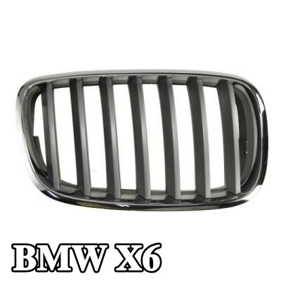 BLIC شبكة المبرد - اليمنى, كروم, فضي — 2012 BMW X6