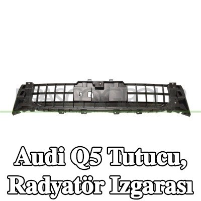 PRASCO Tutucu, radyatör ızgarası — 2012 Audi Q5