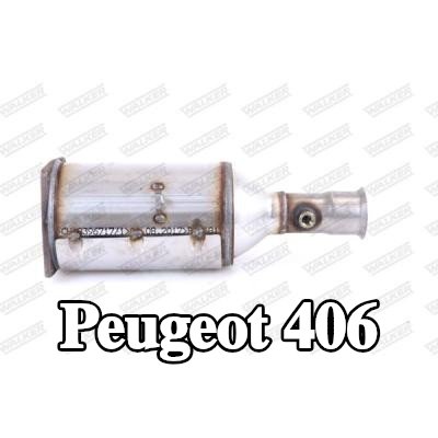 WALKER مرشح جسيمات الديزل مع قطع التثبيت — Peugeot 406