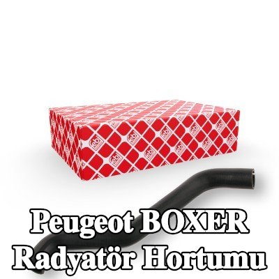 FEBI BILSTEIN Radyatör hortumu Üst — 2002 Peugeot Boxer