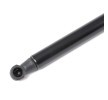 RIDEX Bagaj kapağı desteği 545mm — 2000 Hyundai Tiburon (3)