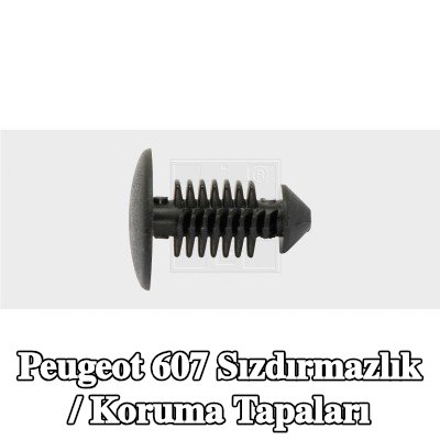 SWGAutomotive Sızdırmazlık / Koruma Tapaları — Peugeot 607