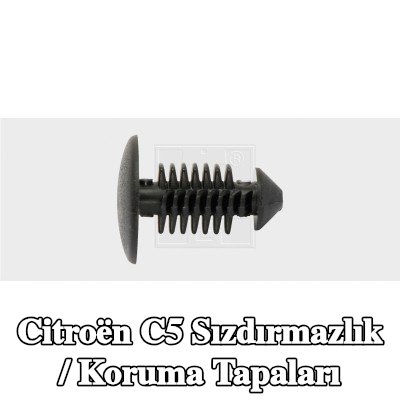 SWGAutomotive Sızdırmazlık / Koruma Tapaları — 2002 Citroën C5