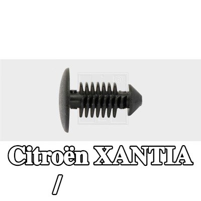 SWGAutomotive سدادات مانعة للتسرب / واقية — Citroën Xantia