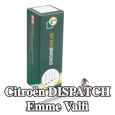 BGA Emme valfi — 2012 Citroën Dispatch