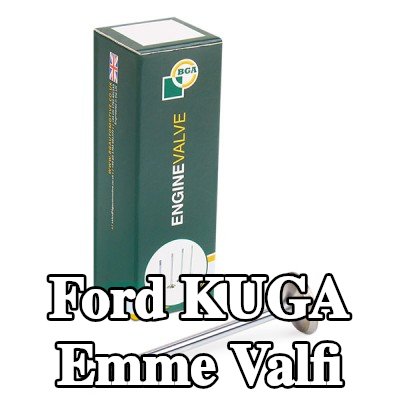 BGA Emme valfi — 2012 Ford Kuga