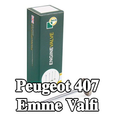 BGA Emme valfi — Peugeot 407