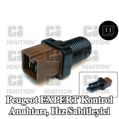 QUINTON HAZELL Kontrol Anahtarı, hız sabitleyici — 1997 Peugeot Expert