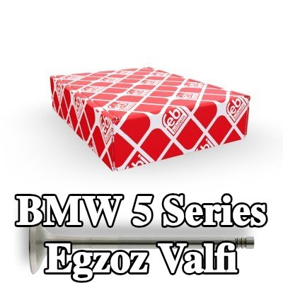 FEBI BILSTEIN Egzoz valfi — 2002 BMW 5 Series