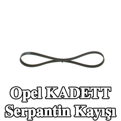 BOSCH Serpantin kayışı 975mm, Number of ribs: 5 — Opel Kadett