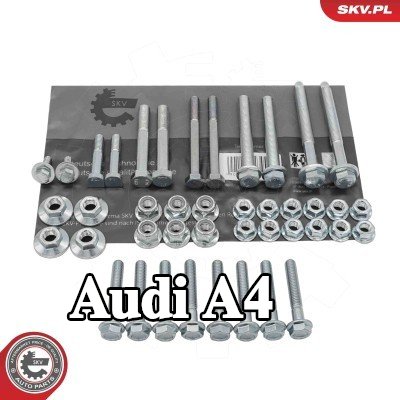 ESEN SKV طقم البراغي والصواميل — Audi A4