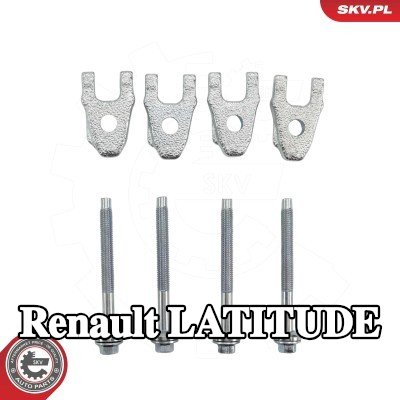 ESEN SKV برغي مشبك الحاقن — Renault Latitude