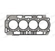 PAYEN Kafa contası 1, 45mm — Opel Vivaro (1)