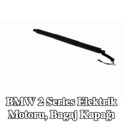 VEMO Elektrik motoru, bagaj kapağı — 2016 BMW 2 Series