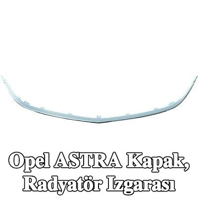 DIEDERICHS Kapak, radyatör ızgarası — 2012 Opel Astra