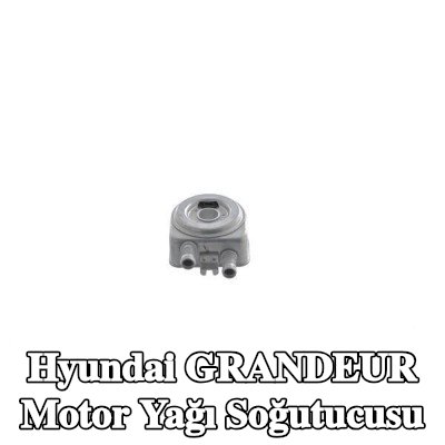 MAHLE Conta halkası ile motor yağı soğutucusu — Hyundai Grandeur