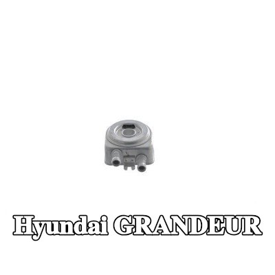 MAHLE مبرد زيت المحرك مع حلقة مانعة للتسرب — Hyundai Grandeur