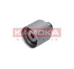 KAMOKA Zincir kasnağı — Nissan Primera (4)