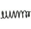SACHS Helezon yay — 2002 Volkswagen Touareg (4)