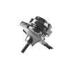 TEDGUM Tutucu, motor montajı Sol Ön — Honda Stream (2)