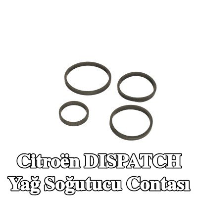 FAST Yağ soğutucu contası — 2008 Citroën Dispatch
