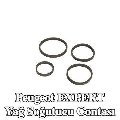 FAST Yağ soğutucu contası — 2008 Peugeot Expert