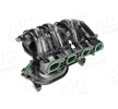 AIC Contalı/sızdırmazlık elemanlı emme manifoldu — Ford B-max (1)