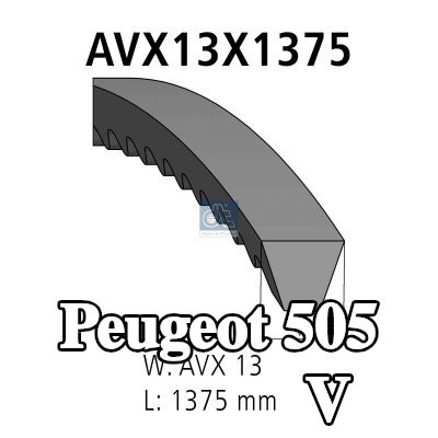 DT Spare Parts مجموعة الحزام V — Peugeot 505