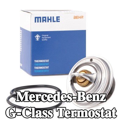 MAHLE Termostat 87°C, contalı/sızdırmaz — 1995 Mercedes-Benz G-Class