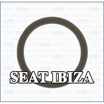 AJUSA حشية، مضخة المياه — 1990 SEAT Ibiza