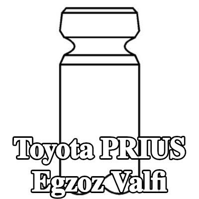 MAHLE Egzoz valfi, egzoz tarafı — 2003 Toyota Prius