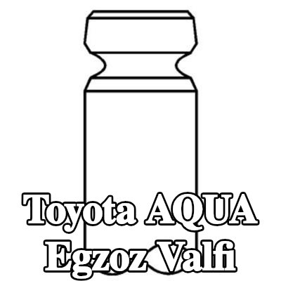 MAHLE Egzoz valfi, egzoz tarafı — Toyota Aqua