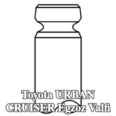 MAHLE Egzoz valfi, egzoz tarafı — 2008 Toyota Urban Cruiser