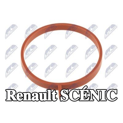 NTY حشية، خرطوم هواء التوربو — Renault Scénic
