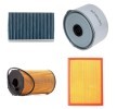 RIDEX Filtre kiti — Land Rover Discovery (1)