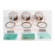 IAP QUALITY PARTS Piston segmanlı piston — Nissan Pixo (2)