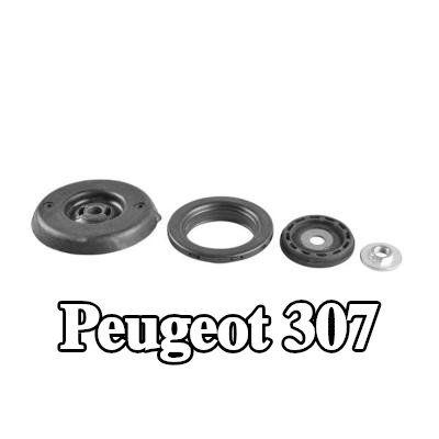 TEDGUM تركيب دعامة التعليق — Peugeot 307