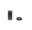 BOSCH Saptırma / kılavuz kasnağı, V-ribbed belt Ø: 70mm — SEAT Exeo (3)