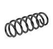 SACHS Helezon yay — 2012 BMW X3 (3)