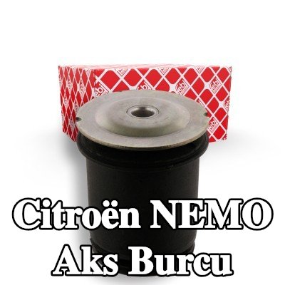 FEBI BILSTEIN Arka aks sol burcu, Arka Aks Sağ — Citroën Nemo