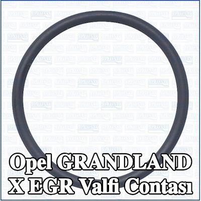 AJUSA EGR valfi contası — Opel Grandland X