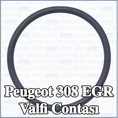 AJUSA EGR valfi contası — Peugeot 308
